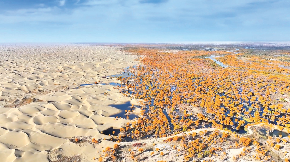 无码人妻少妇色欲AV一区二区