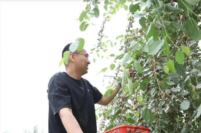 无码人妻少妇色欲AV一区二区