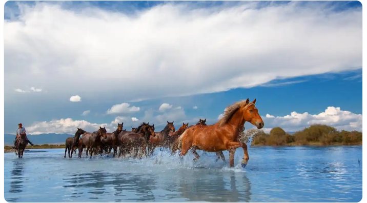 无码人妻少妇色欲AV一区二区