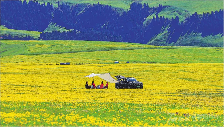 无码人妻少妇色欲AV一区二区