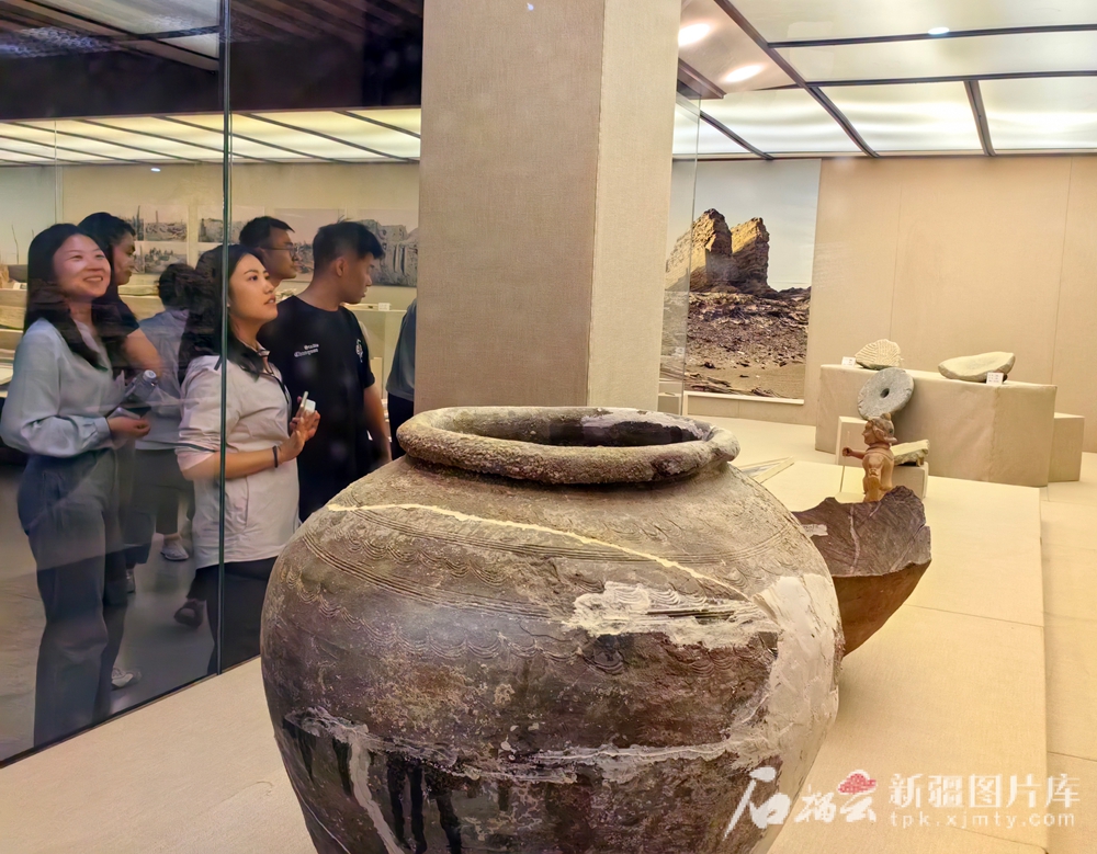 无码人妻少妇色欲AV一区二区