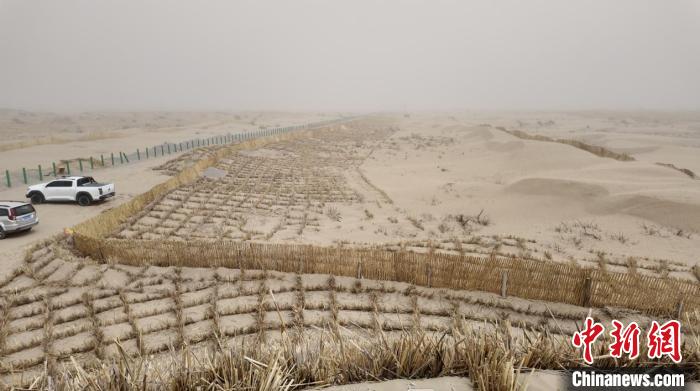 无码人妻少妇色欲AV一区二区