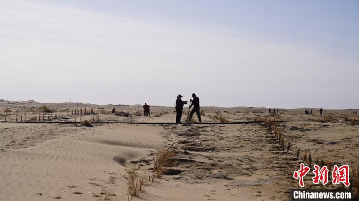 无码人妻少妇色欲AV一区二区