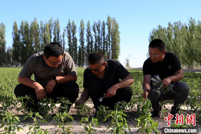 无码人妻少妇色欲AV一区二区