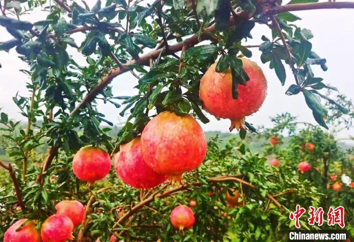 无码人妻少妇色欲AV一区二区