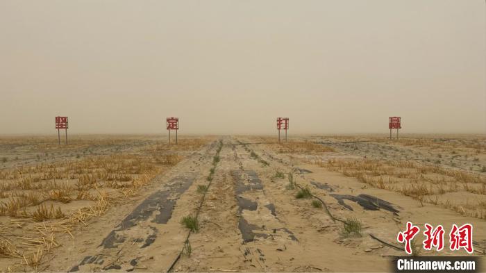 无码人妻少妇色欲AV一区二区