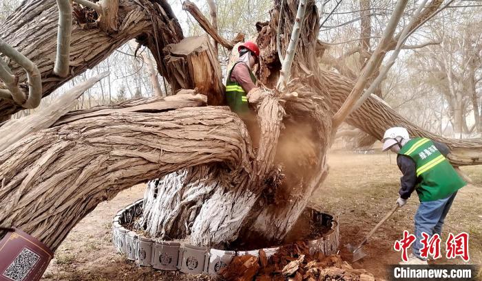 无码人妻少妇色欲AV一区二区