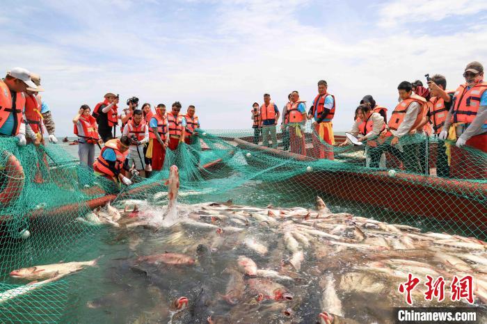 无码人妻少妇色欲AV一区二区