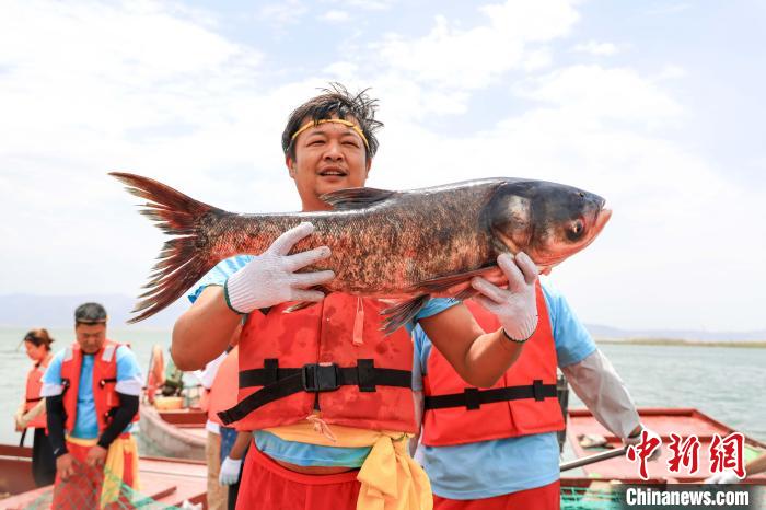无码人妻少妇色欲AV一区二区