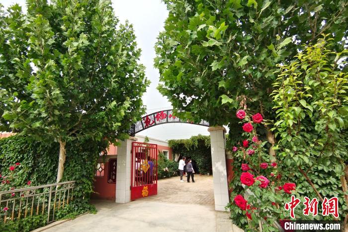 无码人妻少妇色欲AV一区二区