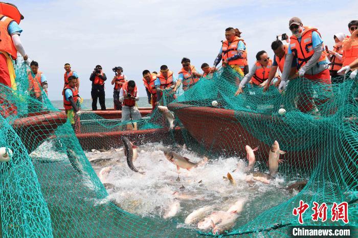 无码人妻少妇色欲AV一区二区