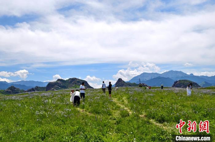 无码人妻少妇色欲AV一区二区