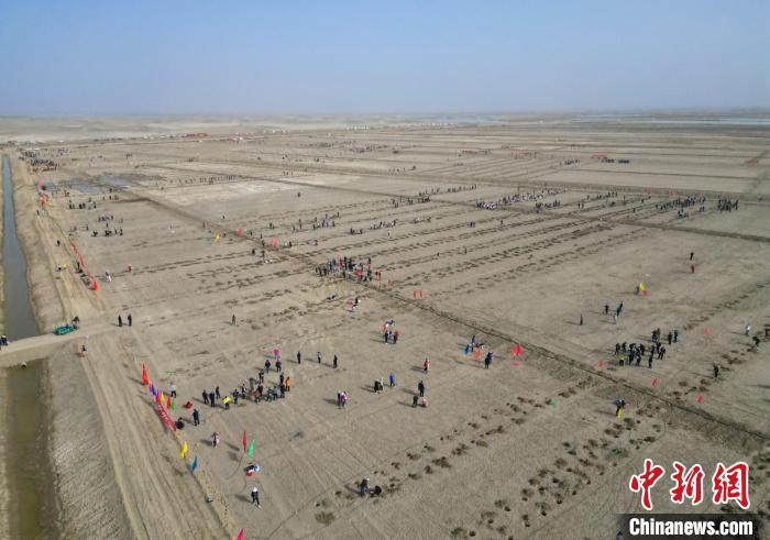 无码人妻少妇色欲AV一区二区