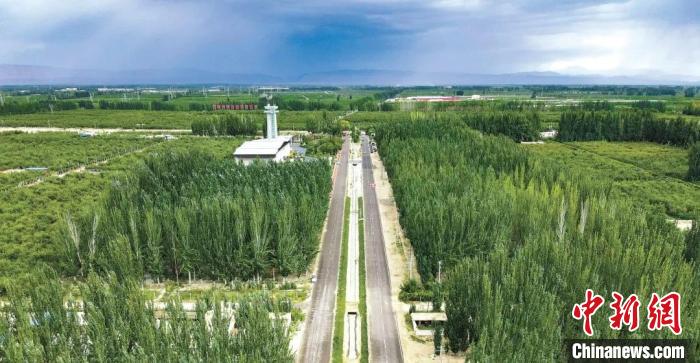 无码人妻少妇色欲AV一区二区