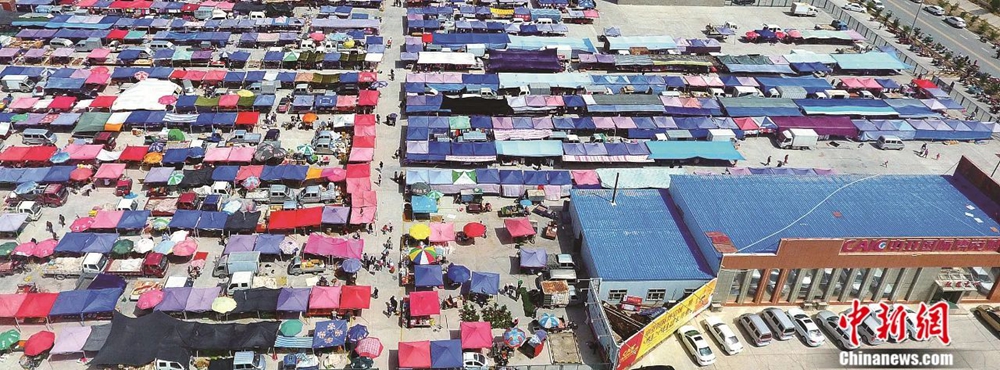 无码人妻少妇色欲AV一区二区