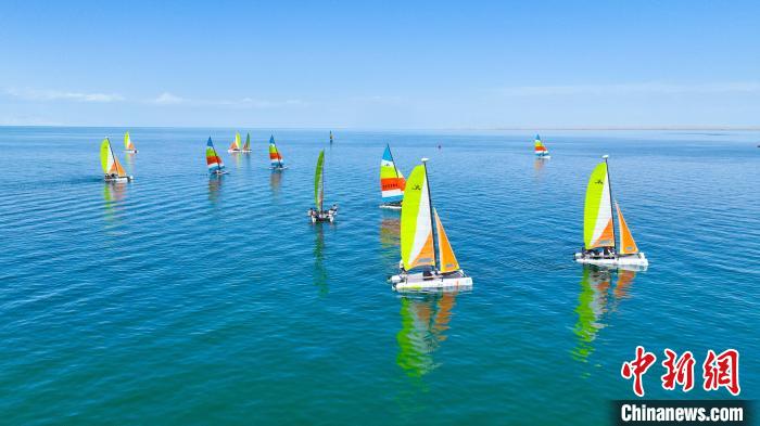 无码人妻少妇色欲AV一区二区