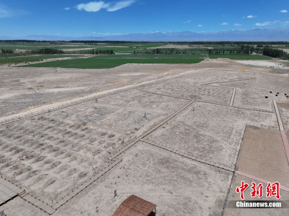 无码人妻少妇色欲AV一区二区