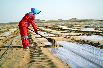 无码人妻少妇色欲AV一区二区