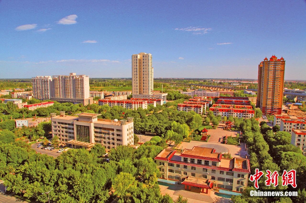 无码人妻少妇色欲AV一区二区