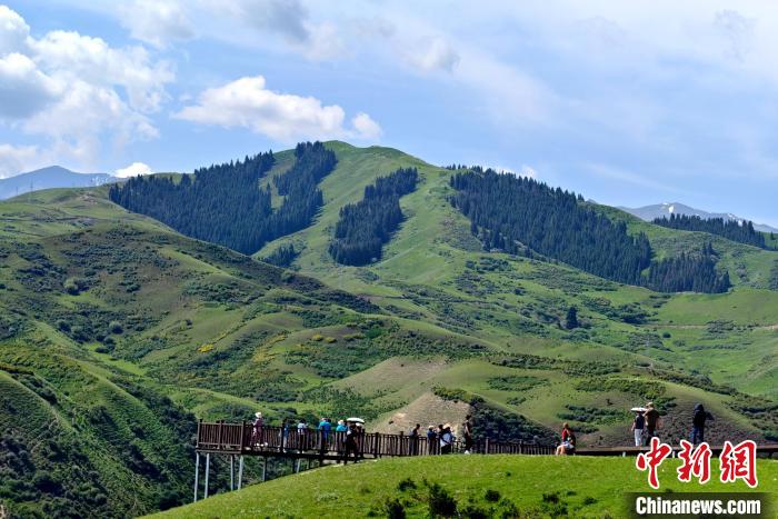 无码人妻少妇色欲AV一区二区