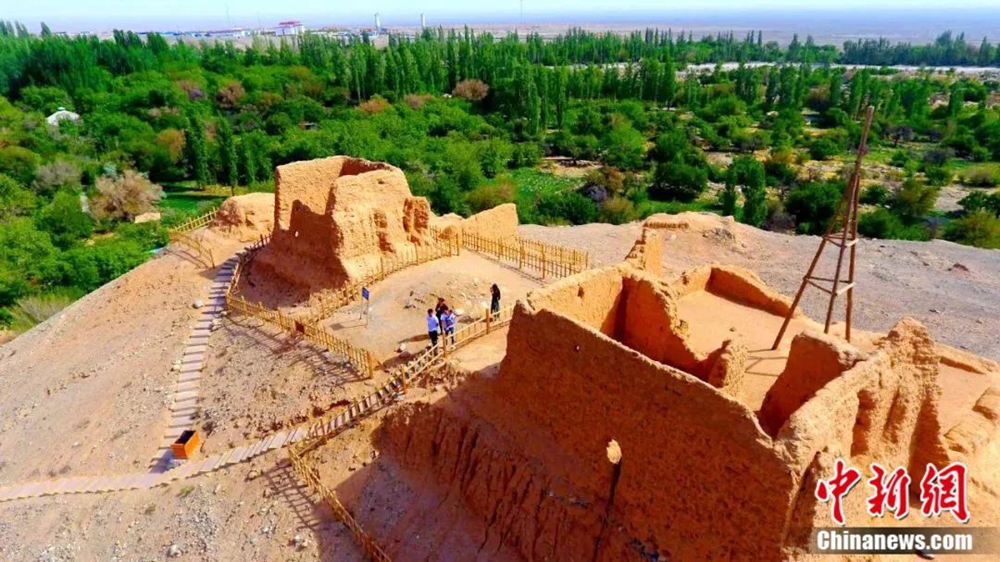 无码人妻少妇色欲AV一区二区