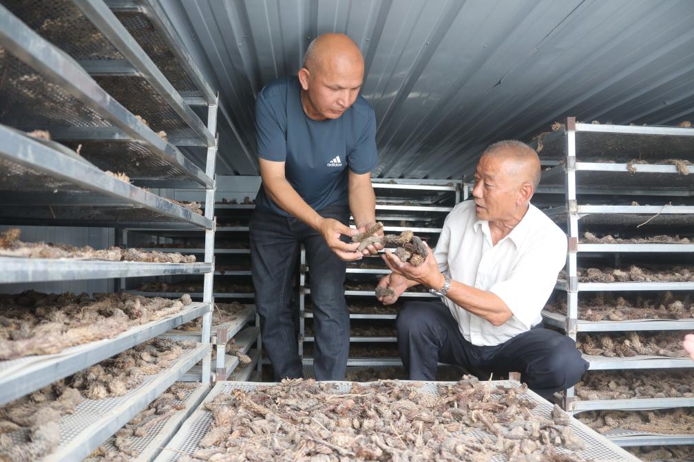 无码人妻少妇色欲AV一区二区