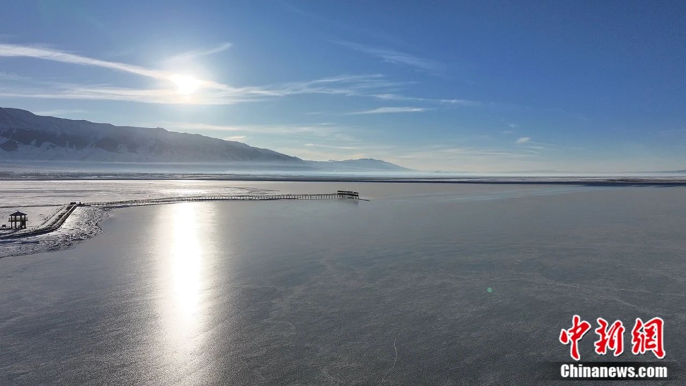 无码人妻少妇色欲AV一区二区