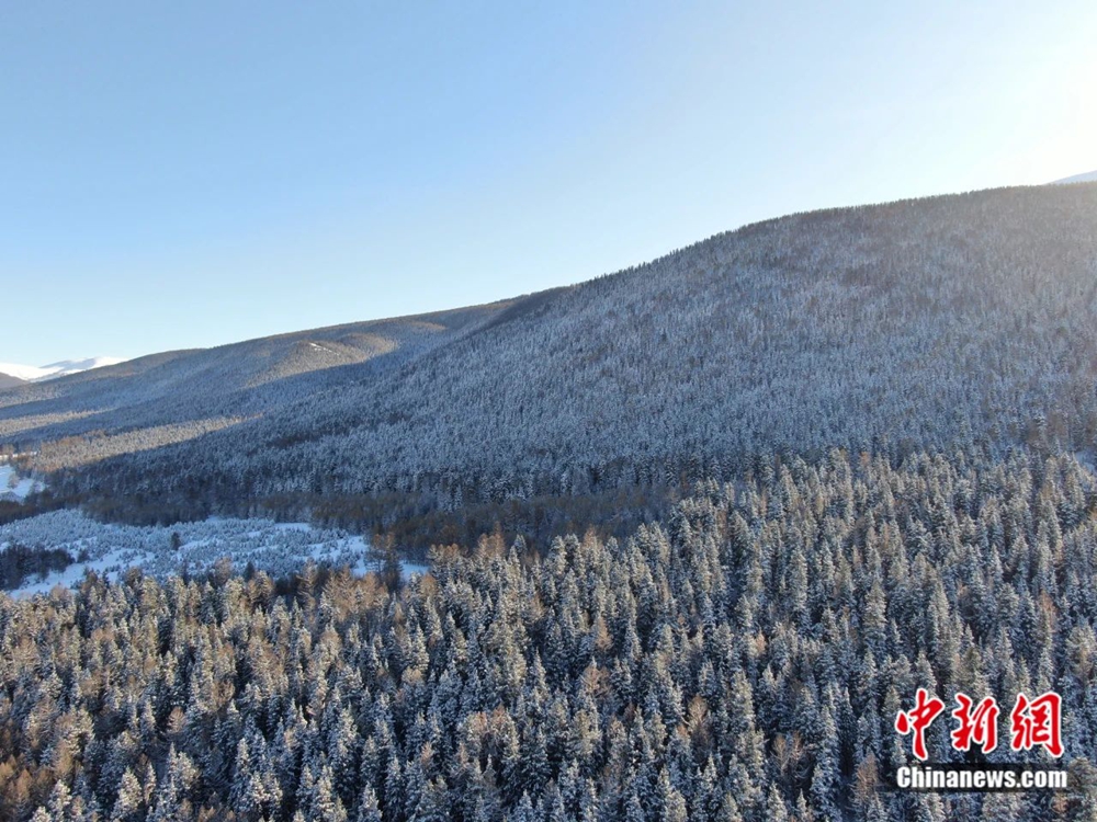 无码人妻少妇色欲AV一区二区