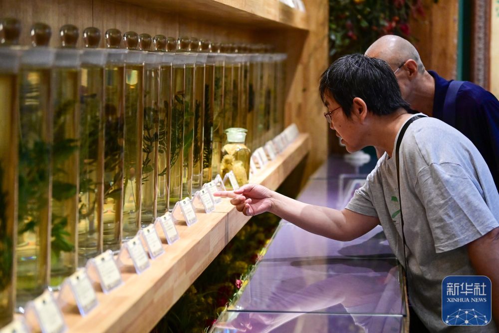 无码人妻少妇色欲AV一区二区