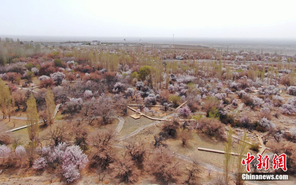 无码人妻少妇色欲AV一区二区