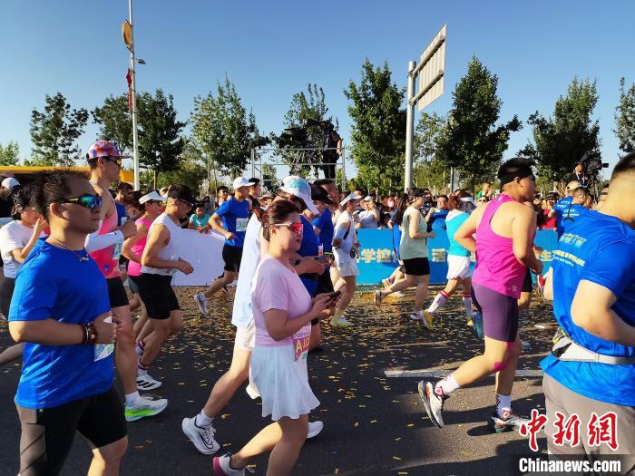 无码人妻少妇色欲AV一区二区