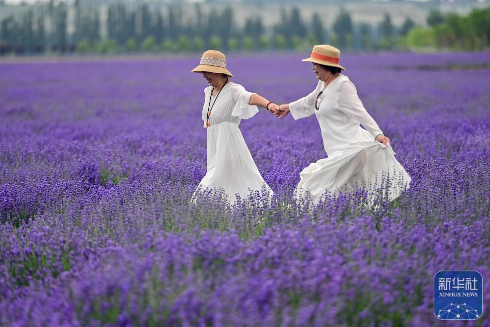 无码人妻少妇色欲AV一区二区