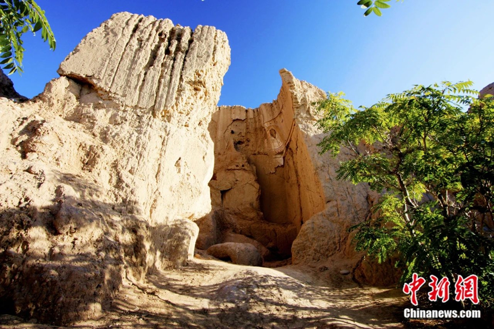 无码人妻少妇色欲AV一区二区