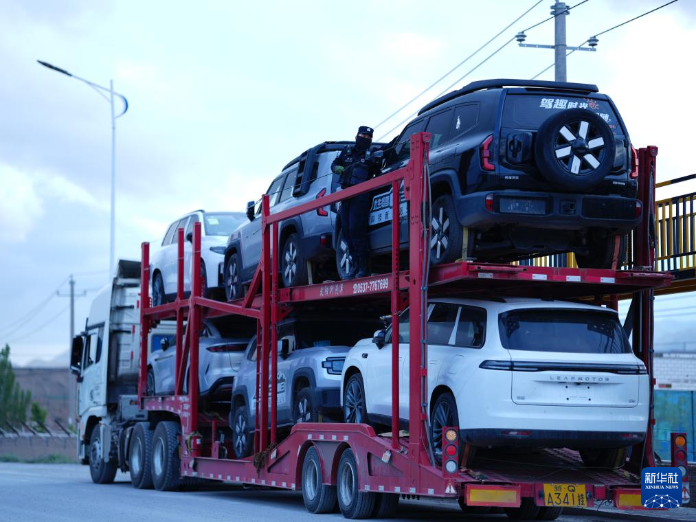 无码人妻少妇色欲AV一区二区