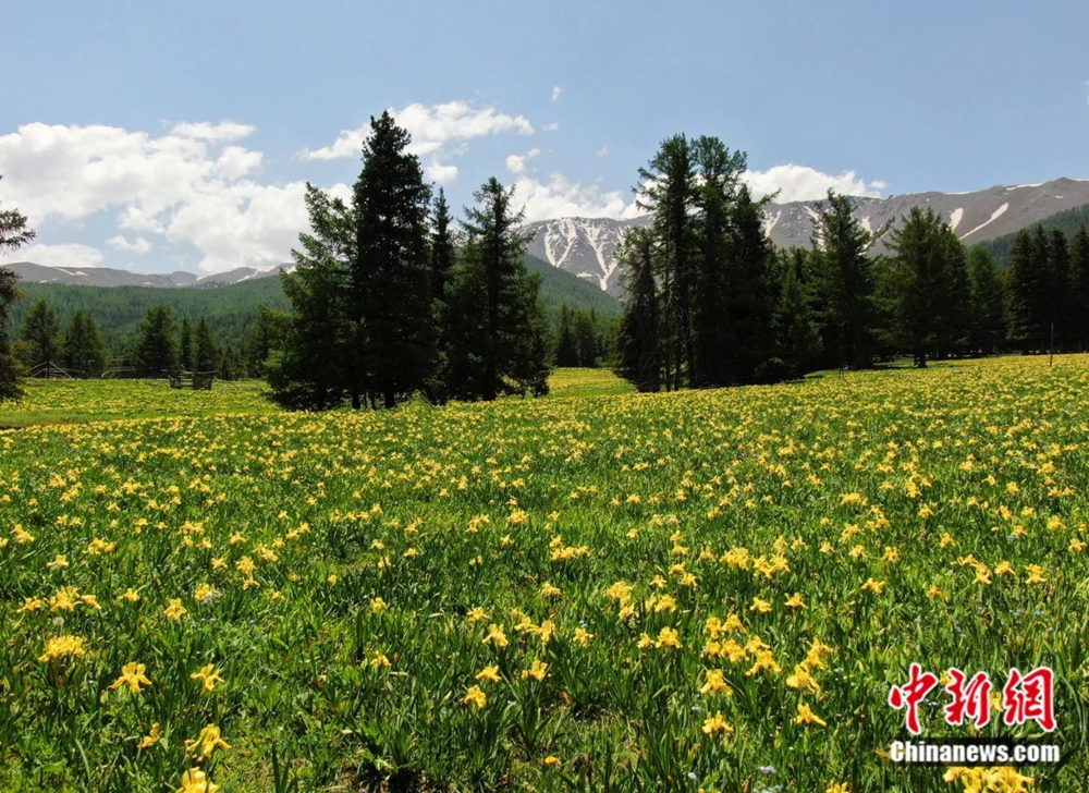 无码人妻少妇色欲AV一区二区