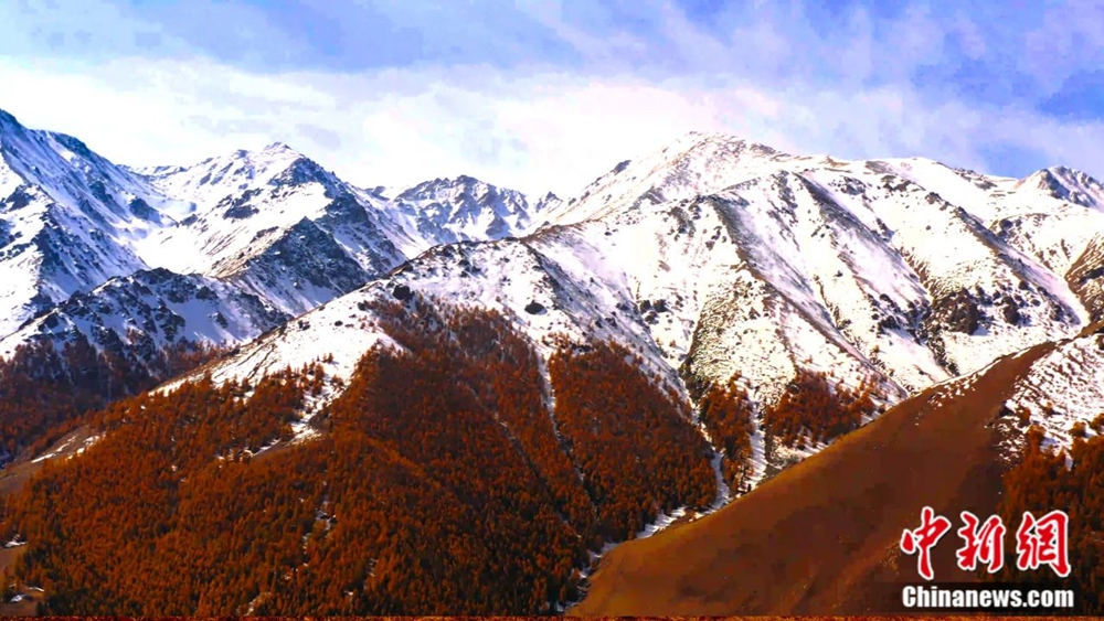 无码人妻少妇色欲AV一区二区