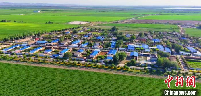 无码人妻少妇色欲AV一区二区