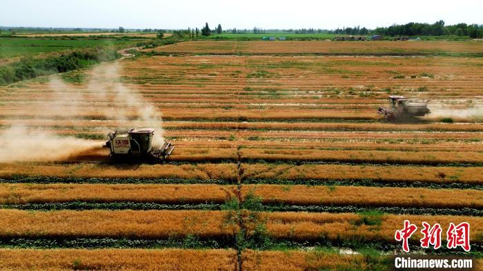 无码人妻少妇色欲AV一区二区