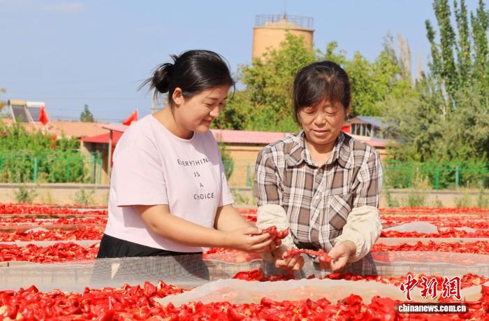 无码人妻少妇色欲AV一区二区