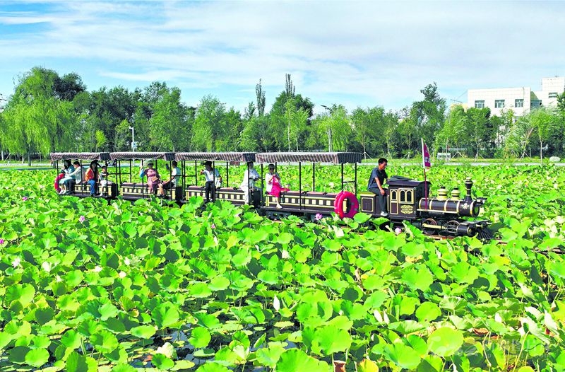 无码人妻少妇色欲AV一区二区