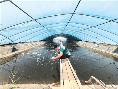 无码人妻少妇色欲AV一区二区