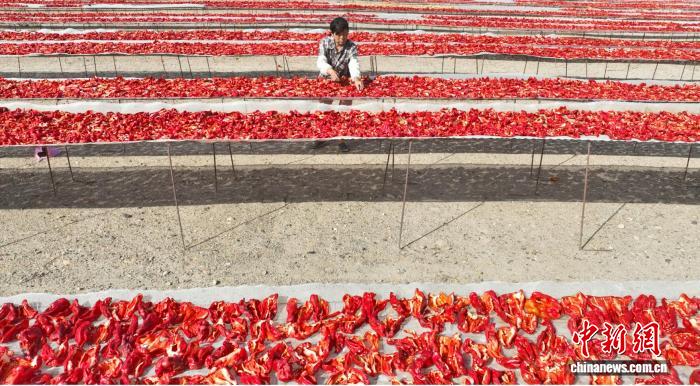 无码人妻少妇色欲AV一区二区