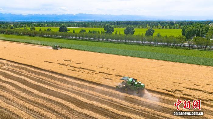 无码人妻少妇色欲AV一区二区