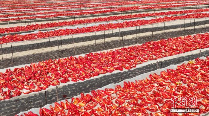 无码人妻少妇色欲AV一区二区