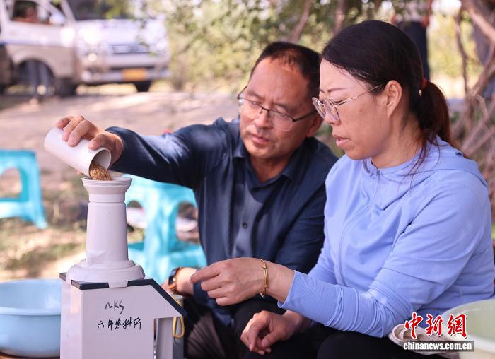 无码人妻少妇色欲AV一区二区