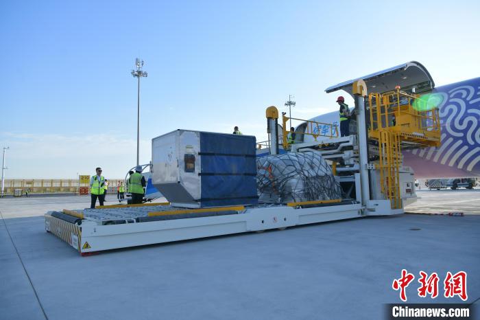 无码人妻少妇色欲AV一区二区