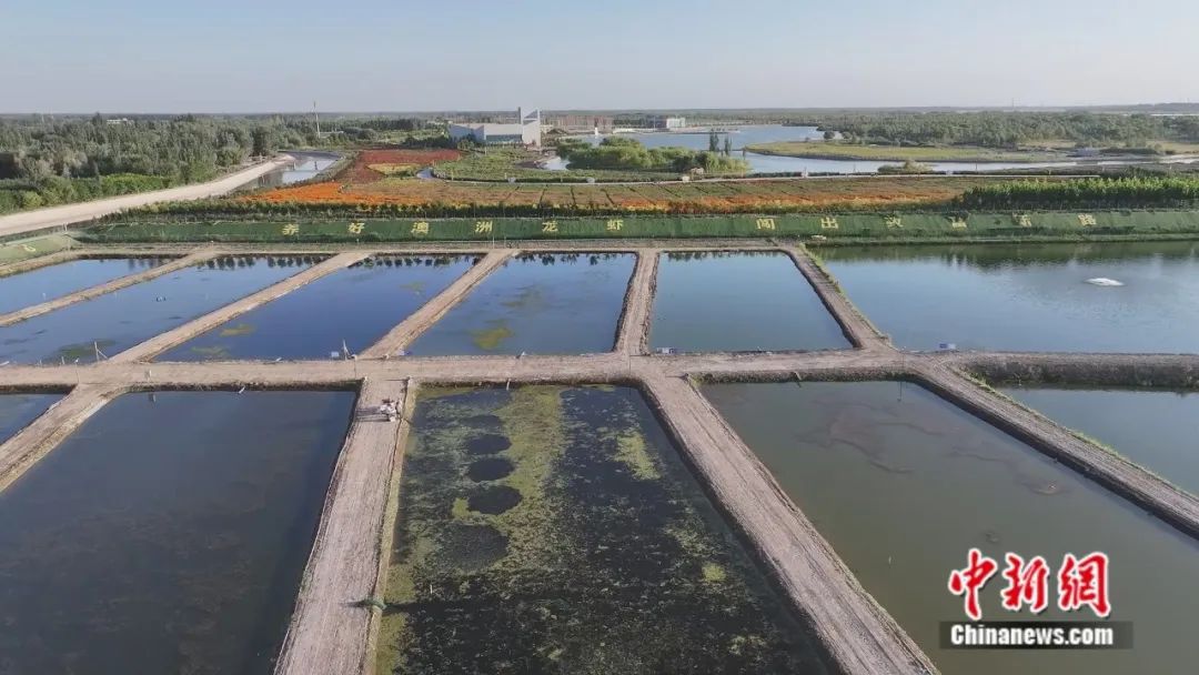 无码人妻少妇色欲AV一区二区