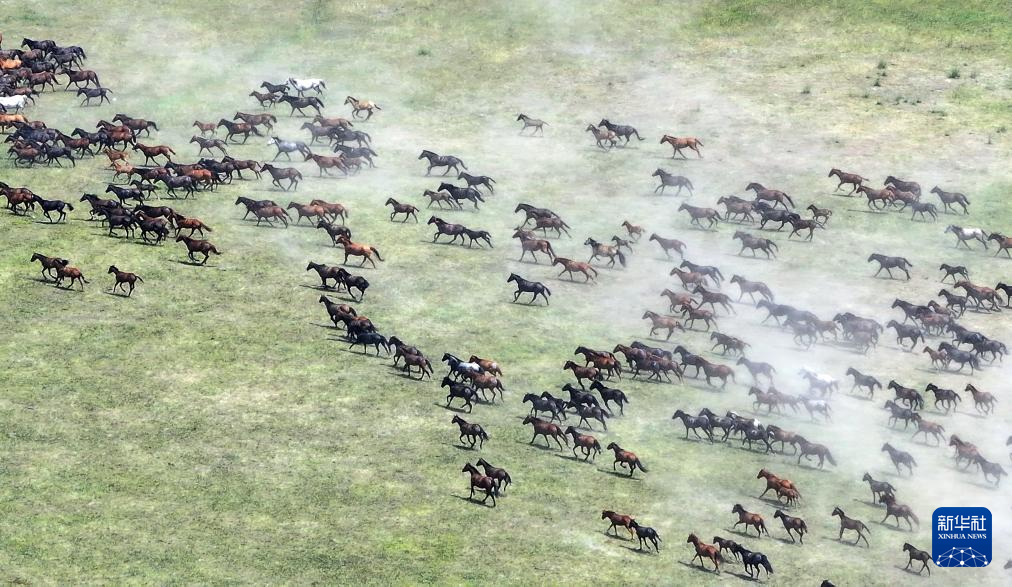无码人妻少妇色欲AV一区二区