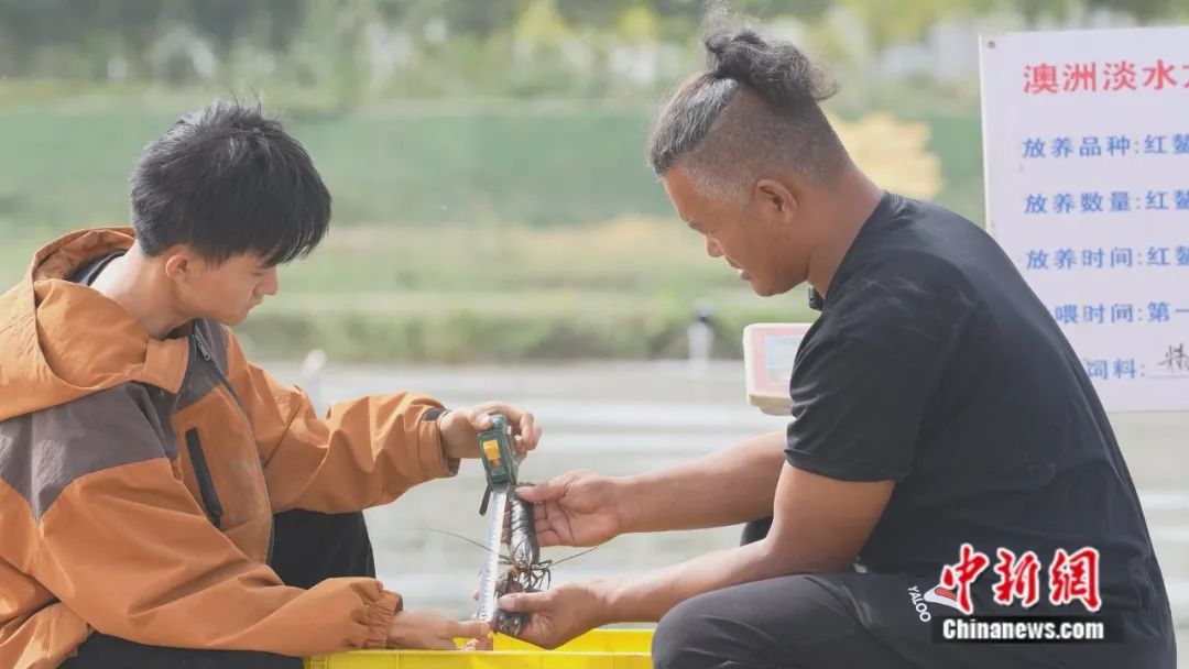 无码人妻少妇色欲AV一区二区