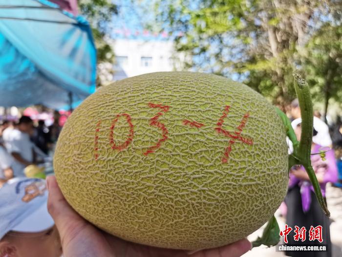 无码人妻少妇色欲AV一区二区